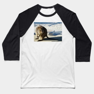 Rottnest Quokka Baseball T-Shirt